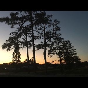 Meet your Posher, Nathaly